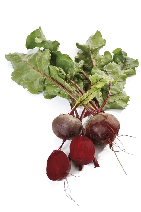 Framed Print : Beetroot Beetroot Print Framed Print : Beetroot Beetroot Print