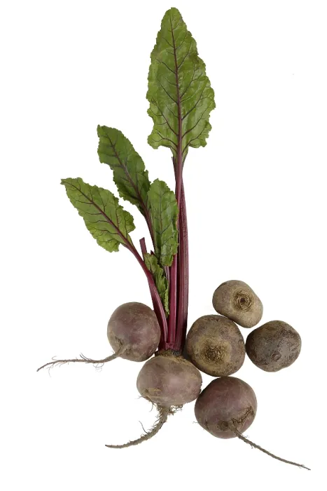 Framed Print : Beetroot Print - Studio Shot Against White Background Framed Print : Beetroot Print - Studio Shot Against White Background