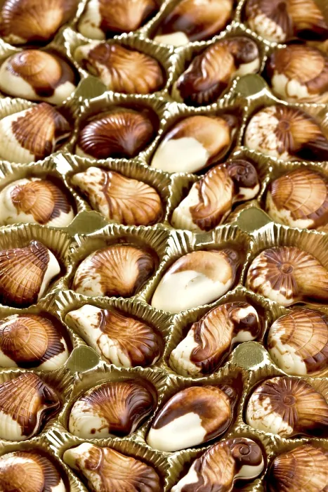 Framed Print : Belgian Chocolate Seashells Print Framed Print : Belgian Chocolate Seashells Print