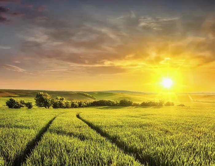 Framed Print : Beautiful Sunset in Moravian Fields Print, Czech Republic