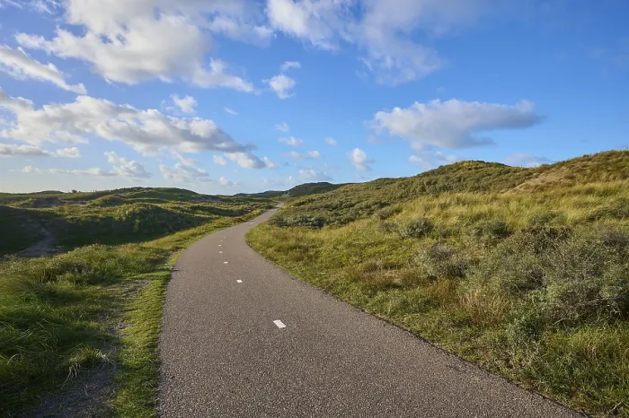 Framed Print : Bicycle Path Through Dunes Near Amsterdam Print Framed Print : Bicycle Path Through Dunes Near Amsterdam Print