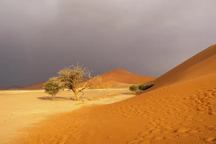 Framed Print : Big Daddy Dune & Deadvlei Print, Namibia