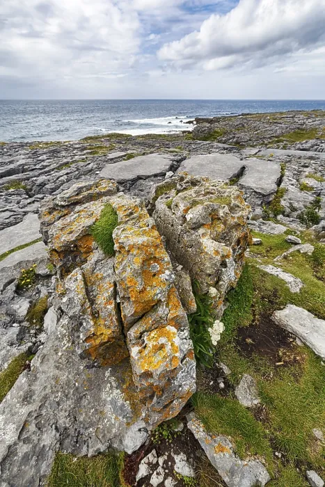 Framed Print : Burren Coast Limestone Slabs Print, County Clare, Ireland Framed Print : Burren Coast Limestone Slabs Print, County Clare, Ireland
