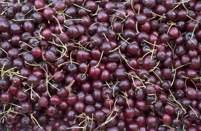 Framed Print : Black Cherries Print Framed Print : Black Cherries Print
