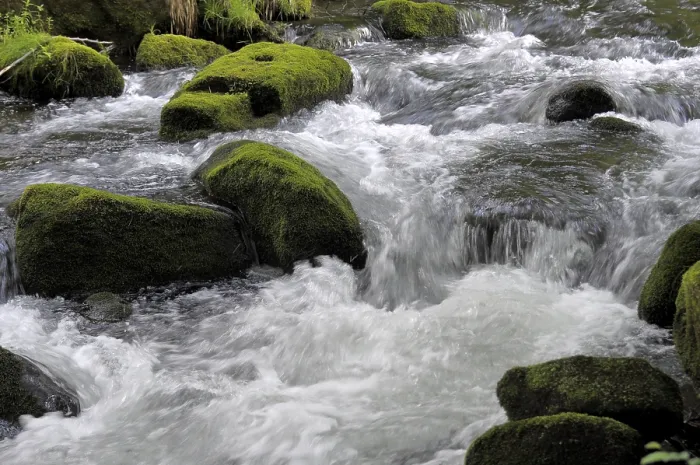Framed Print : Black Forest Stream, Eyach Print Framed Print : Black Forest Stream, Eyach Print