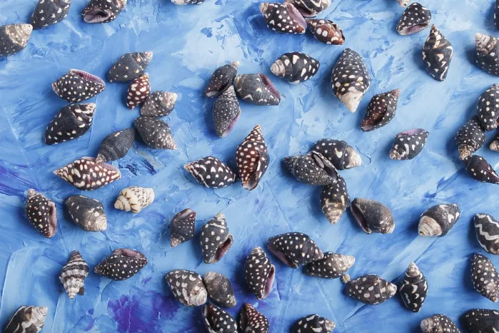 Framed Print : Blue Concrete Print with Black Seashells Framed Print : Blue Concrete Print with Black Seashells