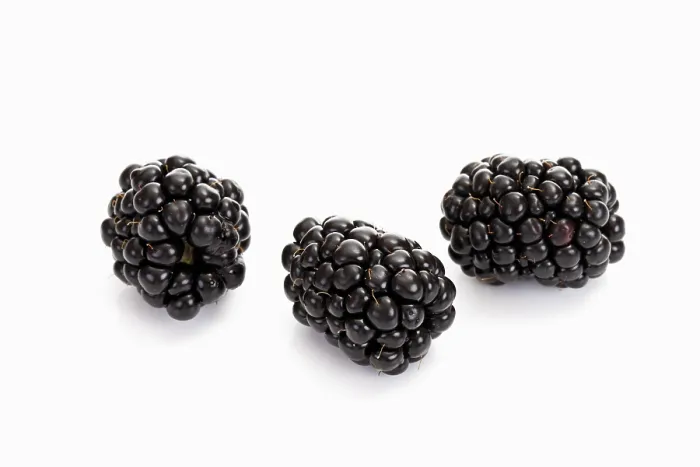 Framed Print : Three Blackberries Print Framed Print : Three Blackberries Print