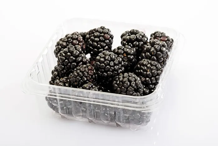 Framed Print : Blackberries in a Plastic Storage Container Print Framed Print : Blackberries in a Plastic Storage Container Print