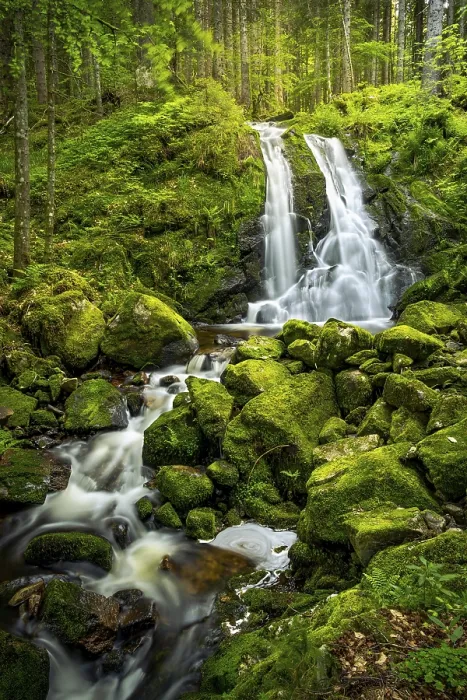 Framed Print : The Blasiwlder Waterfall Print, Black Forest Germany Framed Print : The Blasiwlder Waterfall Print, Black Forest Germany