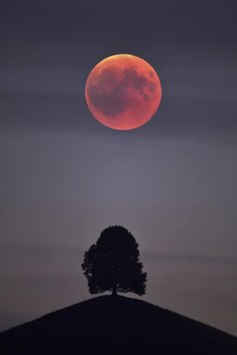 Framed Print : Bloodmoon, Total Lunar Eclipse Print Framed Print : Bloodmoon, Total Lunar Eclipse Print