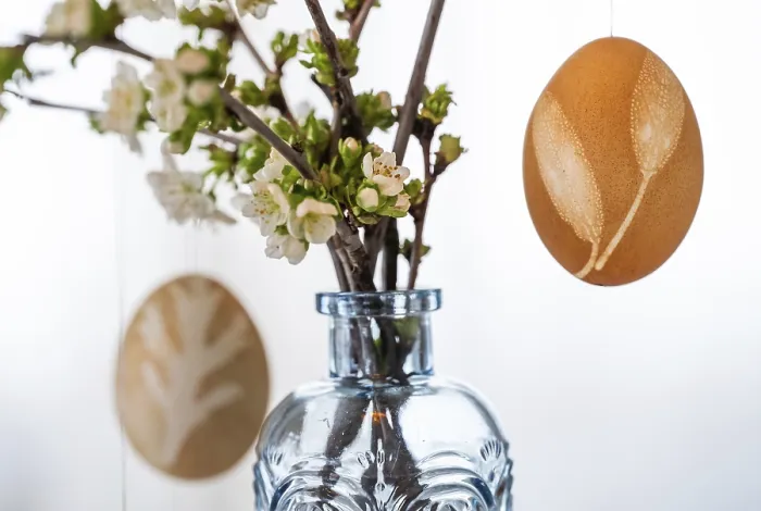 Framed Print : Blown out Easter eggs with blossoming branches Print Framed Print : Blown out Easter eggs with blossoming branches Print