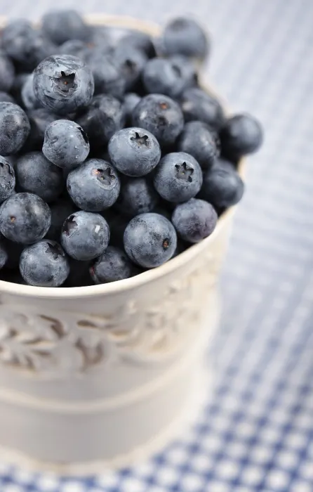 Framed Print : Blueberries in a Pot Print Framed Print : Blueberries in a Pot Print