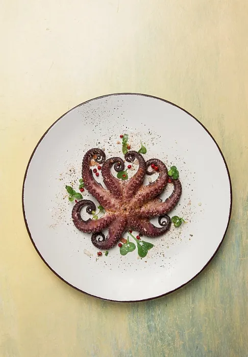 Framed Print : Rustic Boiled Octopus Print, Close-Up Framed Print : Rustic Boiled Octopus Print, Close-Up