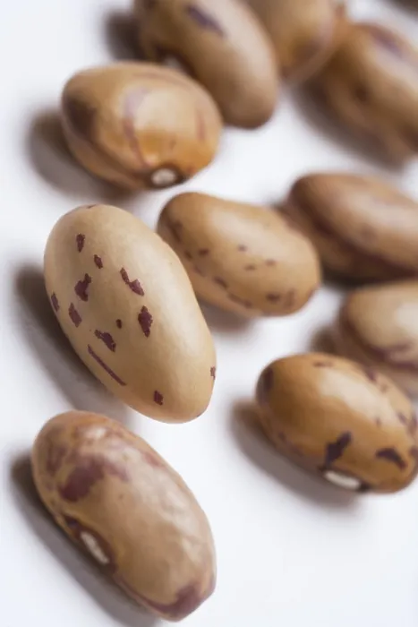 Framed Print : Borlotti Bean Print Framed Print : Borlotti Bean Print