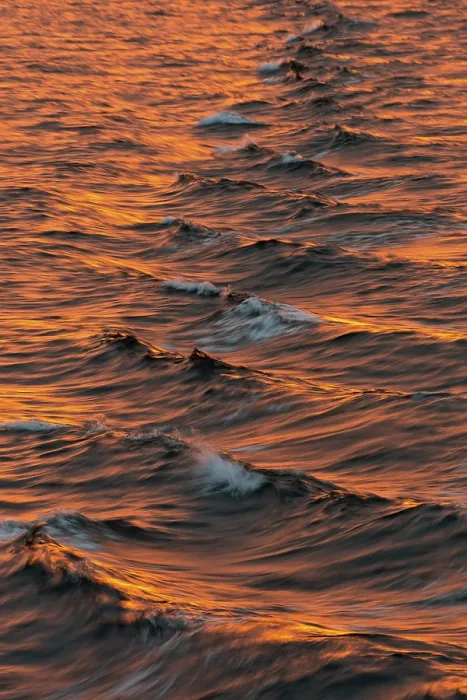 Framed Print : Bow Waves in Evening Light Print, Arctic Ocean, Svalbard
