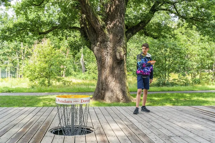 Framed Print : Disc Golf Print, Volkspark Potsdam, Germany Framed Print : Disc Golf Print, Volkspark Potsdam, Germany