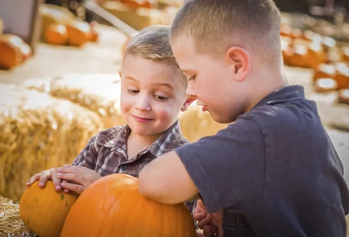 Framed Print : Two Boys at the Pumpkin Patch Print Framed Print : Two Boys at the Pumpkin Patch Print