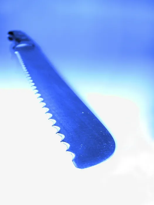 Framed Print : Bread Knife Print Framed Print : Bread Knife Print