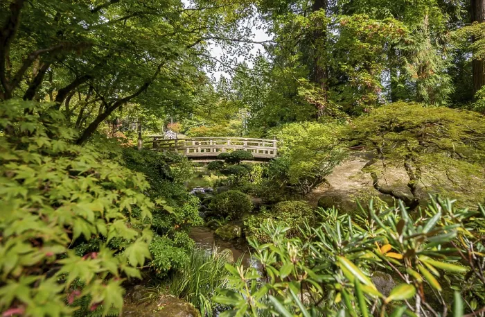 Framed Print : Bridge over Stream, Japanese Garden Print Framed Print : Bridge over Stream, Japanese Garden Print