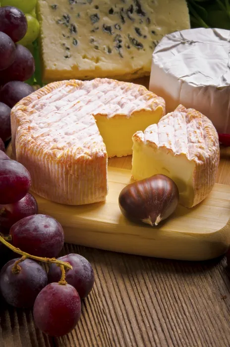 Framed Print : Brie Cheese Print