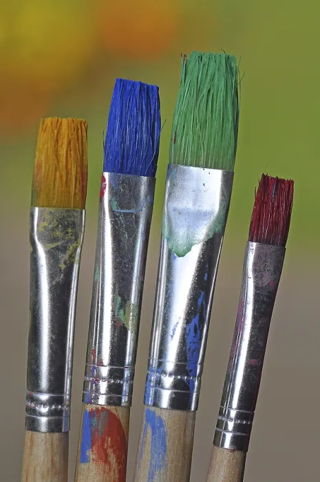 Framed Print : Bristle Brushes - Image Print Framed Print : Bristle Brushes - Image Print