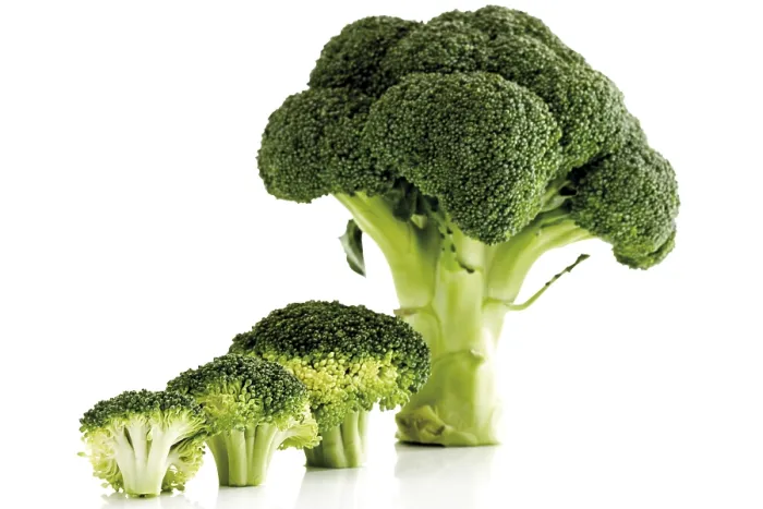Framed Print : Broccoli Print by imageBROKER Framed Print : Broccoli Print by imageBROKER