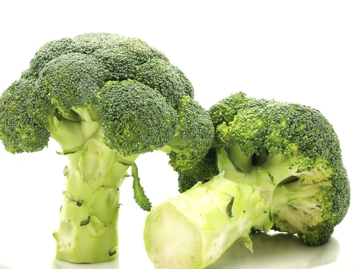 Framed Print : Broccoli Print: Standing and Laying Down on White Framed Print : Broccoli Print: Standing and Laying Down on White
