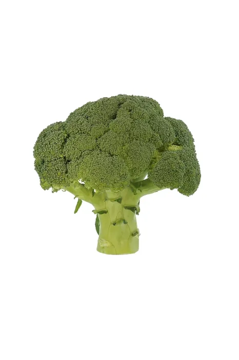 Framed Print : Broccoli Print - Studio Shot Against White Background