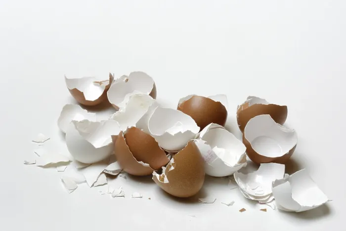 Framed Print : Broken Eggshells Print - Fragmented Reality Framed Print : Broken Eggshells Print - Fragmented Reality