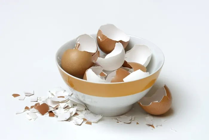 Framed Print : Broken Eggshells in Bowl Print Framed Print : Broken Eggshells in Bowl Print