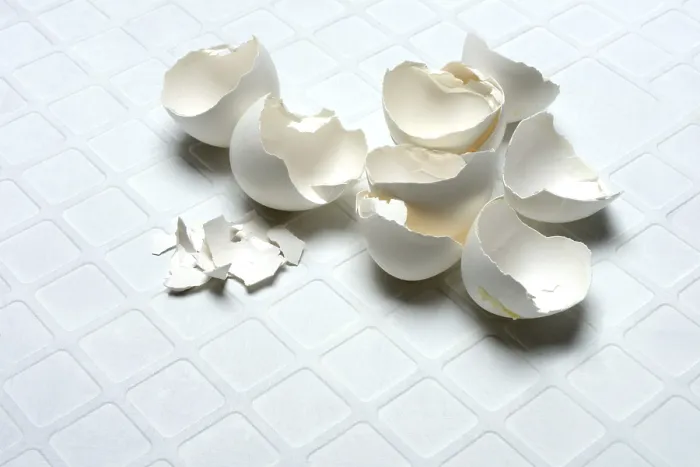 Framed Print : Broken Eggshells Print on Light Background Framed Print : Broken Eggshells Print on Light Background