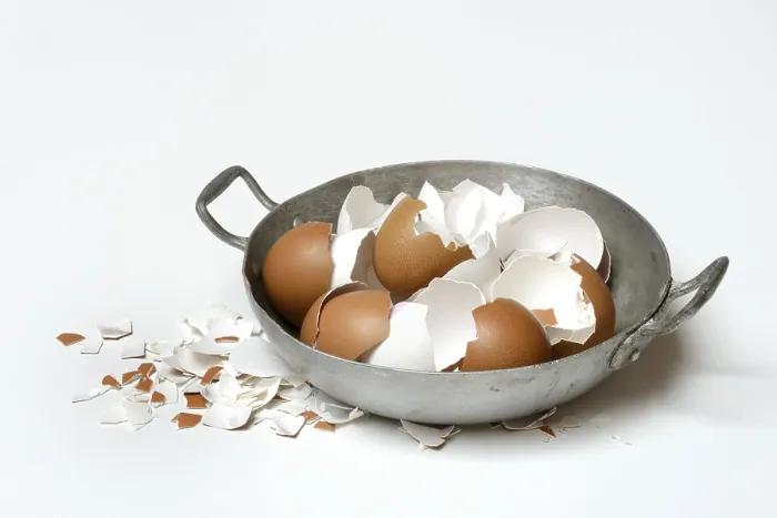 Framed Print : Broken Eggshells in Shells Print Framed Print : Broken Eggshells in Shells Print