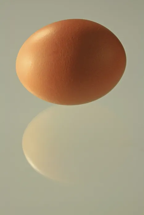 Framed Print : Brown Egg, Perfectly Shaped Print with Reflection Framed Print : Brown Egg, Perfectly Shaped Print with Reflection