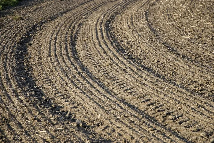 Framed Print : Brown Field with Parallel Pattern Print Framed Print : Brown Field with Parallel Pattern Print