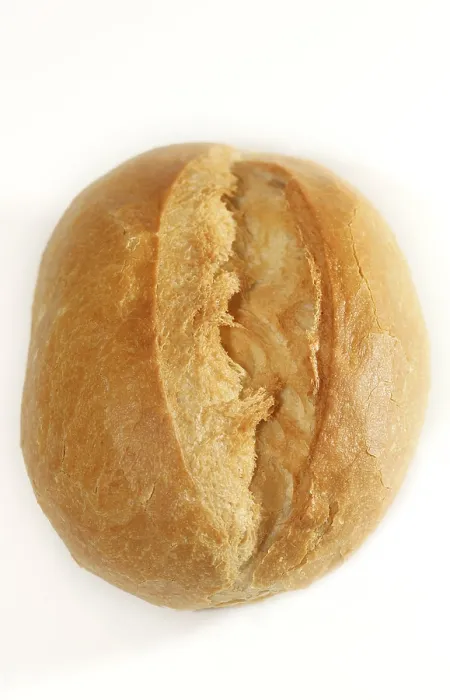 Framed Print : Bun Bun Print by imageBROKER