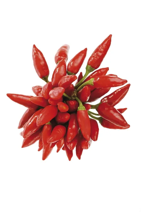Framed Print : Bunch of Chilis Print Framed Print : Bunch of Chilis Print