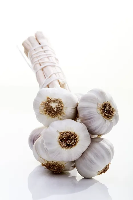 Framed Print : Garlic Bulbs Print Framed Print : Garlic Bulbs Print