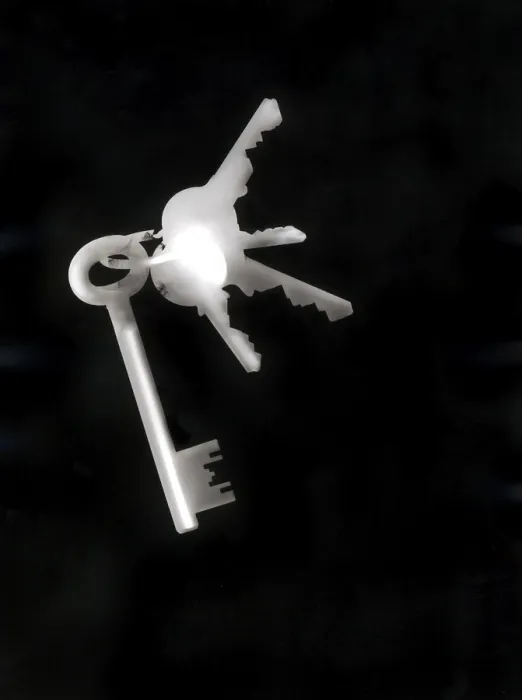 Framed Print : Print of Bunch of Keys by ImageBROKER Framed Print : Print of Bunch of Keys by ImageBROKER