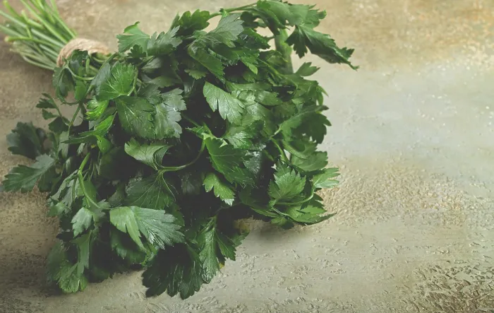Framed Print : Bunch of Parsley Print, Top View Framed Print : Bunch of Parsley Print, Top View