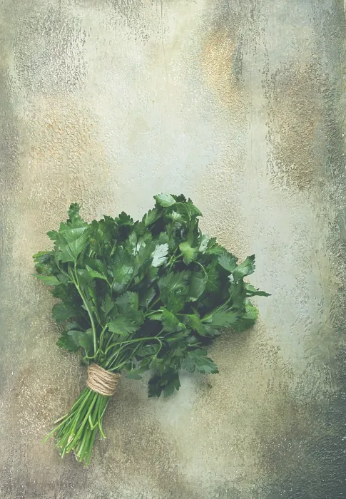 Framed Print : Parsley Bunch Print, Top View Framed Print : Parsley Bunch Print, Top View