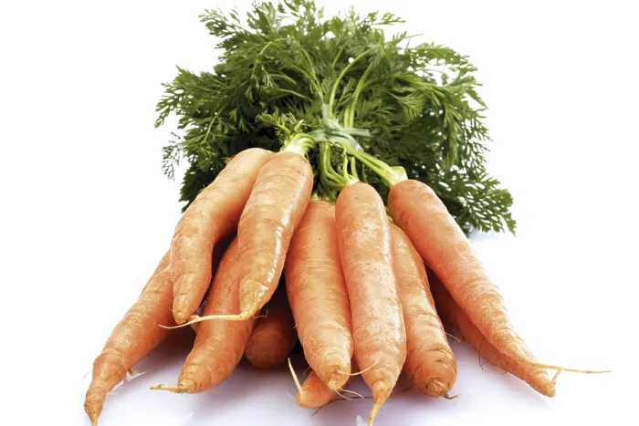 Framed Print : A Bundle of Carrots Print Framed Print : A Bundle of Carrots Print