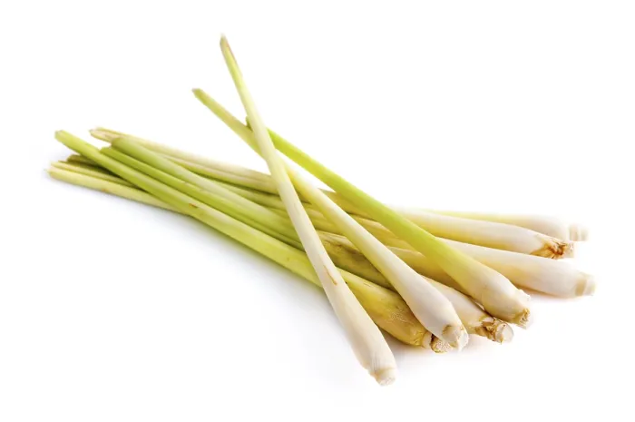 Framed Print : Fresh Lemon Grass Print on White Background Framed Print : Fresh Lemon Grass Print on White Background