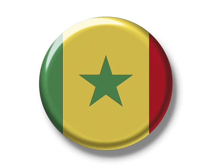 Framed Print : Senegal Flag Print