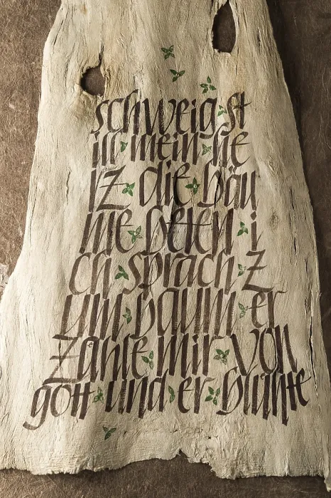 Framed Print : Calligraphy Studio Print on Tree Bark, Seebruck, Germany Framed Print : Calligraphy Studio Print on Tree Bark, Seebruck, Germany