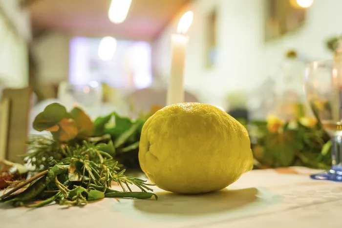 Framed Print : Candle and Lemon Print with Plants on Decorative Table Framed Print : Candle and Lemon Print with Plants on Decorative Table