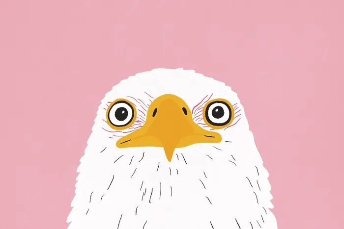 Framed Print : Bright Pink Bald Eagle Print Framed Print : Bright Pink Bald Eagle Print