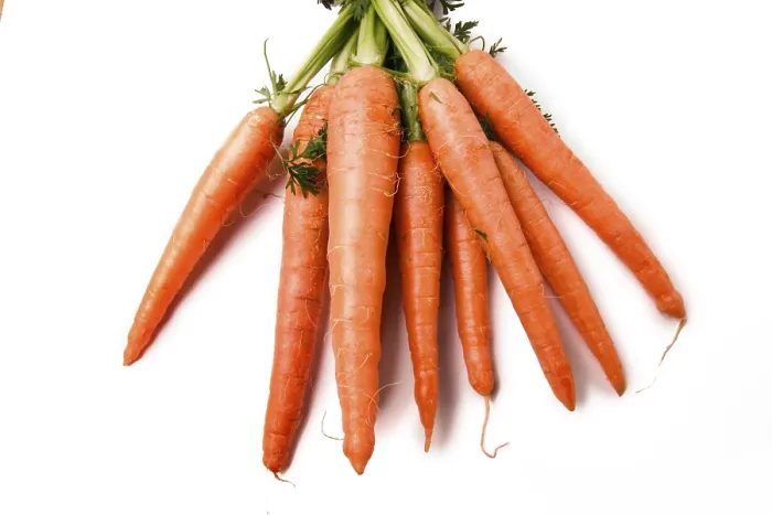 Framed Print : Carrots Print by imageBROKER Framed Print : Carrots Print by imageBROKER