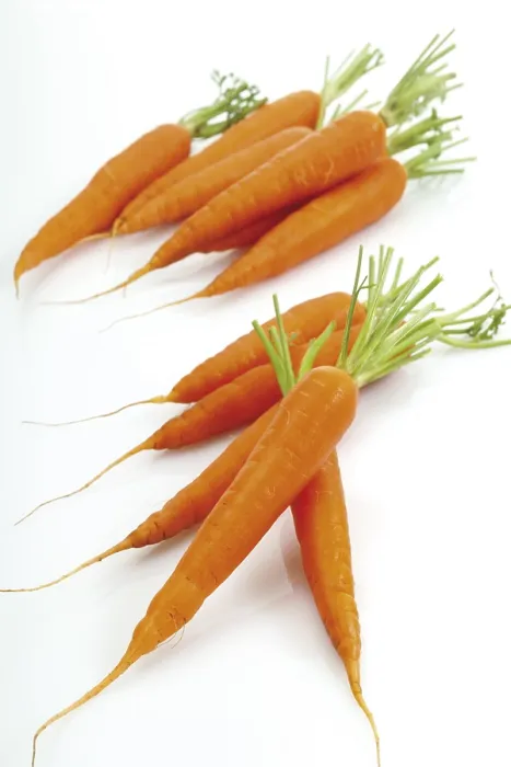 Framed Print : Carrots Print by ImageBROKER Framed Print : Carrots Print by ImageBROKER