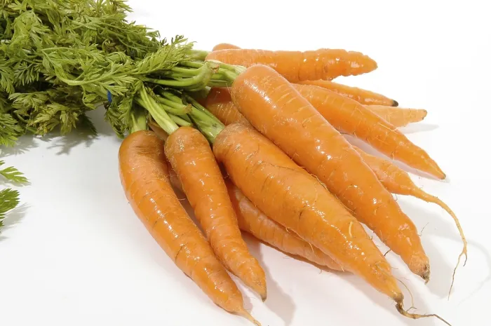 Framed Print : Carrots Print by imageBROKER Framed Print : Carrots Print by imageBROKER