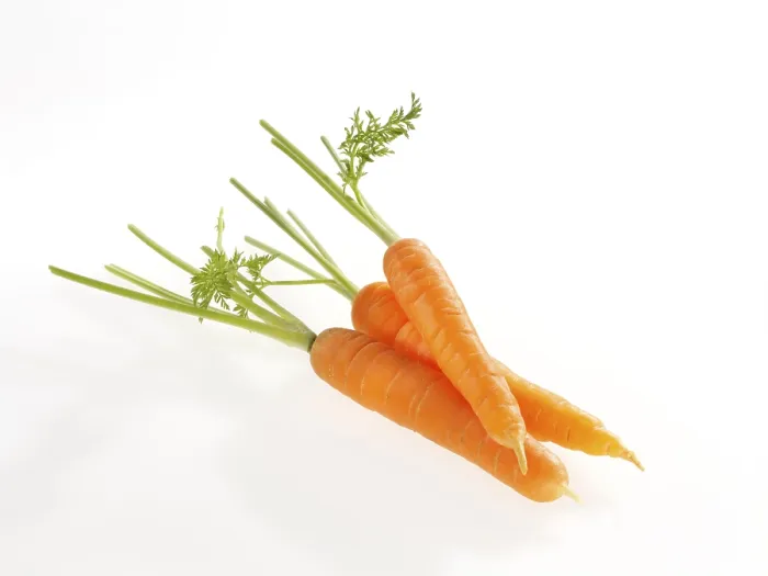 Framed Print : Carrots Print by ImageBROKER Framed Print : Carrots Print by ImageBROKER